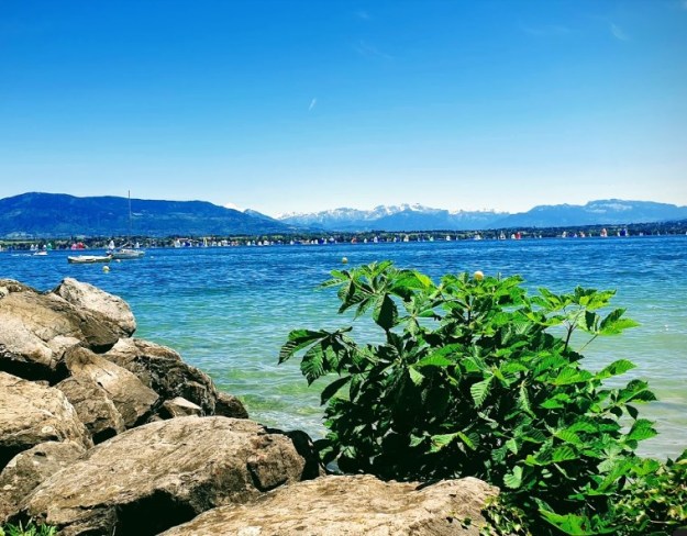 Великолепие берегов Женевского озера сегодня. Примерно там, где была дуэль.